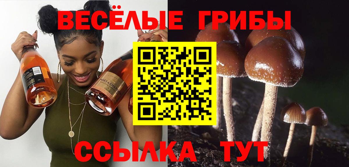 Гулькевичи  Псилоцибиновые грибы прущие грибы  Вход с VPN 