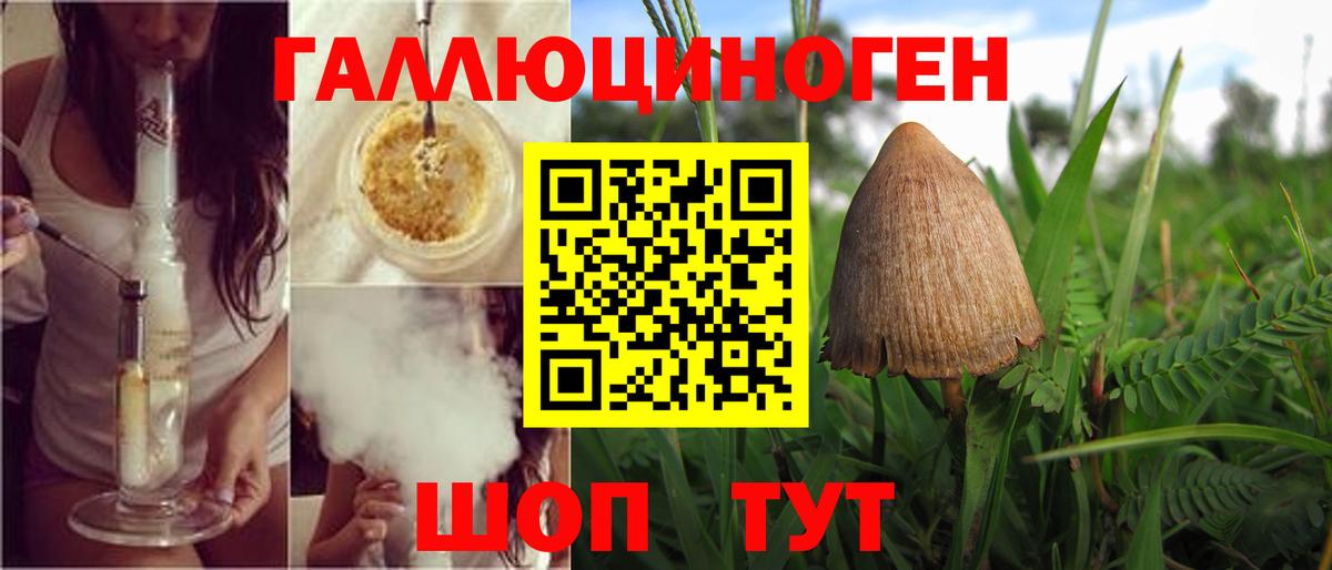 Галлюциногенные грибы MAGIC MUSHROOMS Гулькевичи